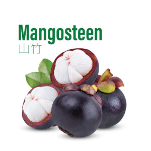 Mangosteen