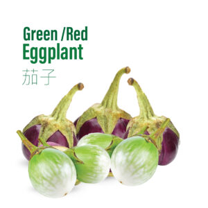 Eggplant