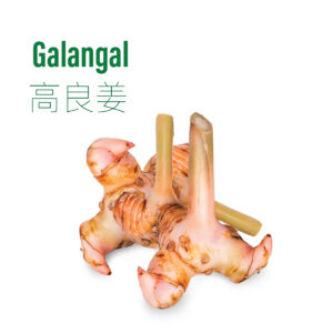 Galangal